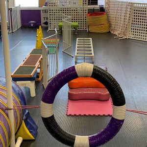 Fitness & fun class obstacle course